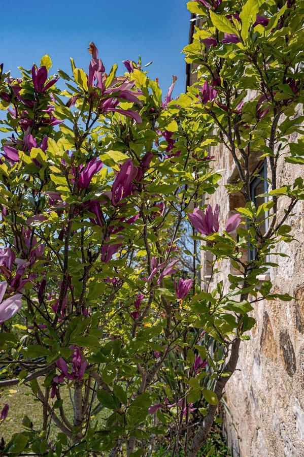 Villa Manolia プレベザ エクステリア 写真